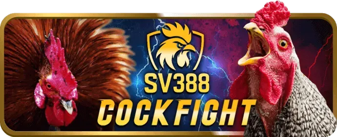 Câu lạc bộ VIP 68vn app
